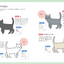 PREORDER Cat Photo Reference Book for Artists: Free to Trace & Copy