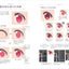 PREORDER The Complete Guide to Drawing Expressive Eyes