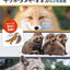 PREORDER Fox, Raccoon Dog & Wolf Photo Reference Book for Artists
