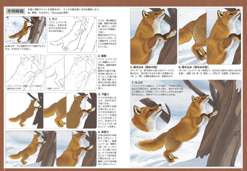PREORDER Fox, Raccoon Dog & Wolf Photo Reference Book for Artists