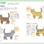 PREORDER Cat Photo Reference Book for Artists: Free to Trace & Copy