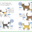 PREORDER Cat Photo Reference Book for Artists: Free to Trace & Copy