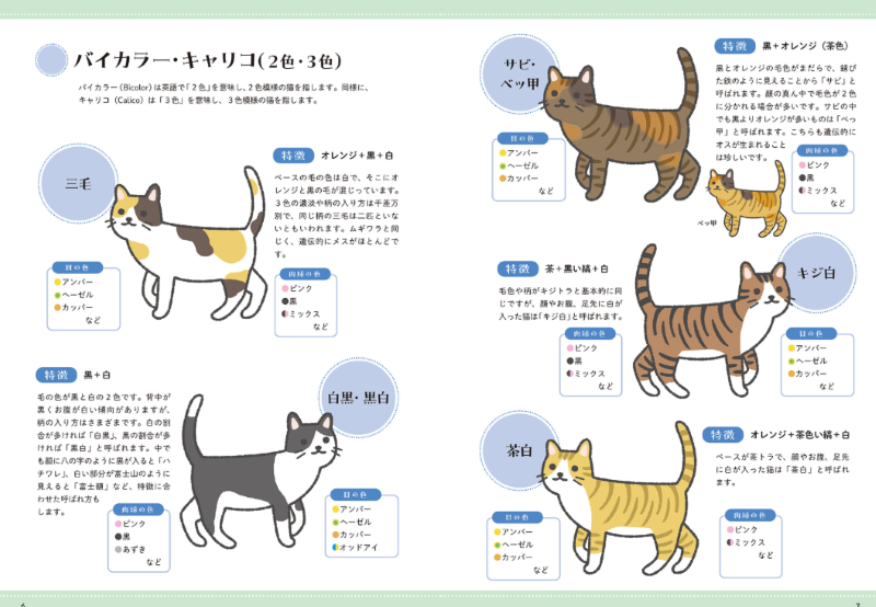 PREORDER Cat Photo Reference Book for Artists: Free to Trace & Copy