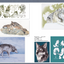 PREORDER Fox, Raccoon Dog & Wolf Photo Reference Book for Artists