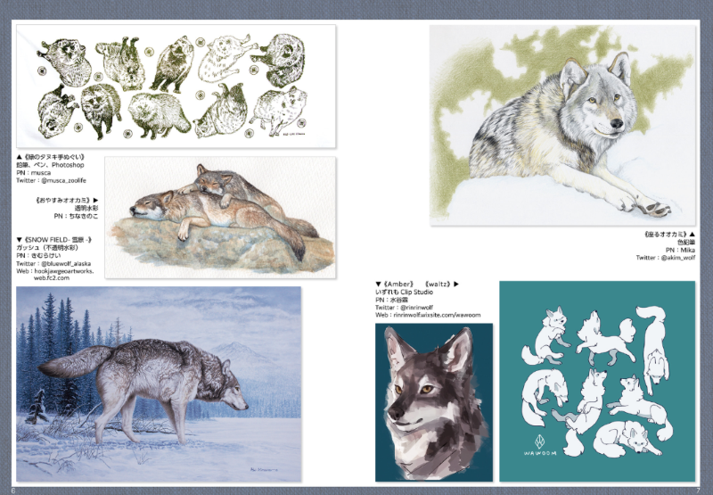 PREORDER Fox, Raccoon Dog & Wolf Photo Reference Book for Artists