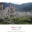 PREORDER Flowers, Mountains, and Peace