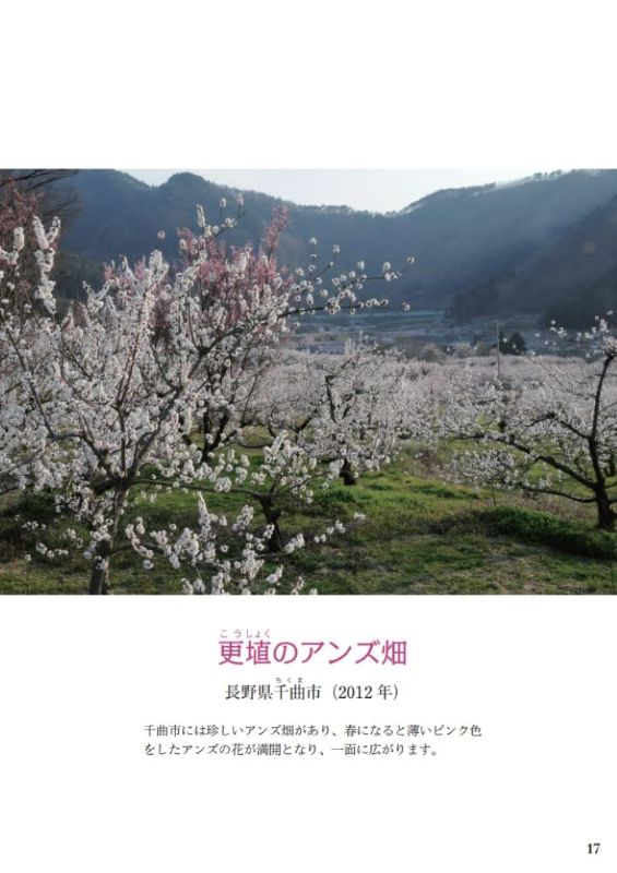 PREORDER Flowers, Mountains, and Peace