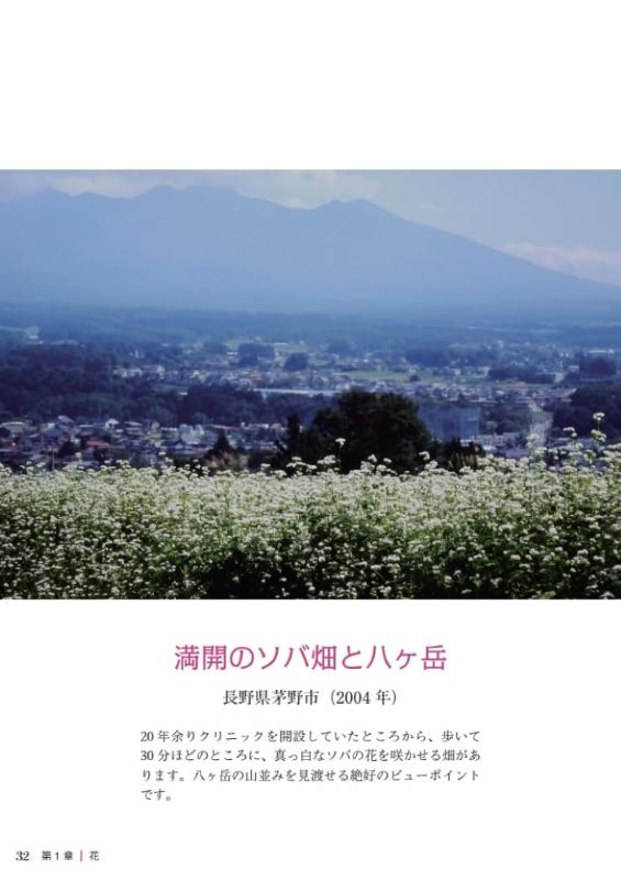 PREORDER Flowers, Mountains, and Peace