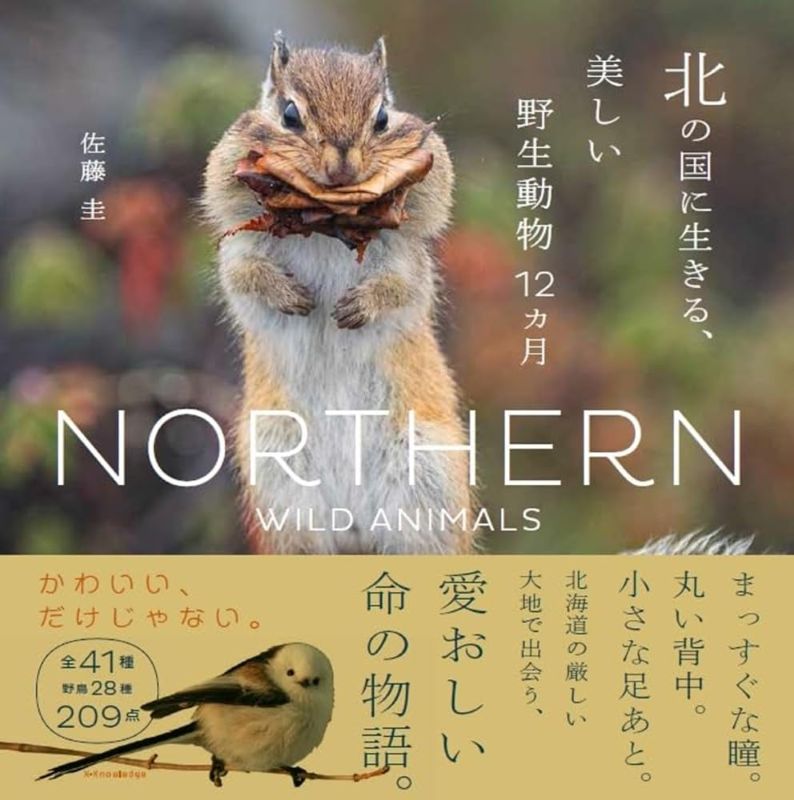PREORDER Beautiful Wildlife of the Northern Land: A Year in Nature