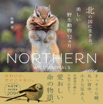 PREORDER Beautiful Wildlife of the Northern Land: A Year in Nature