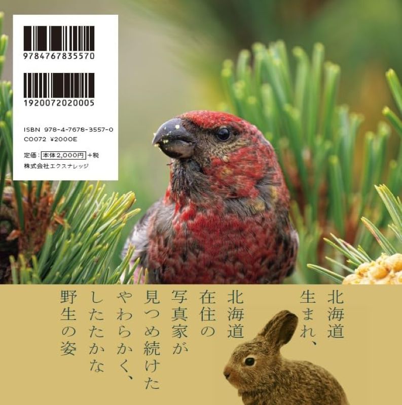 PREORDER Beautiful Wildlife of the Northern Land: A Year in Nature