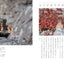 PREORDER Beautiful Wildlife of the Northern Land: A Year in Nature