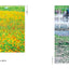 PREORDER Five Seasons, Five Senses: CHOMOTAN Photo Magic