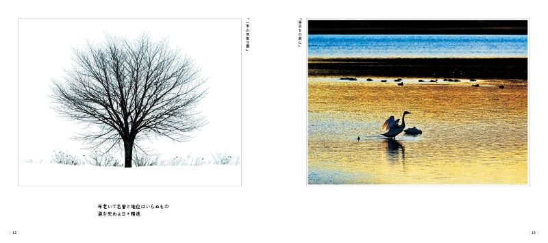 PREORDER Five Seasons, Five Senses: CHOMOTAN Photo Magic