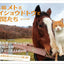 PREORDER Boss Cat Met, Meisho Doto, and Friends