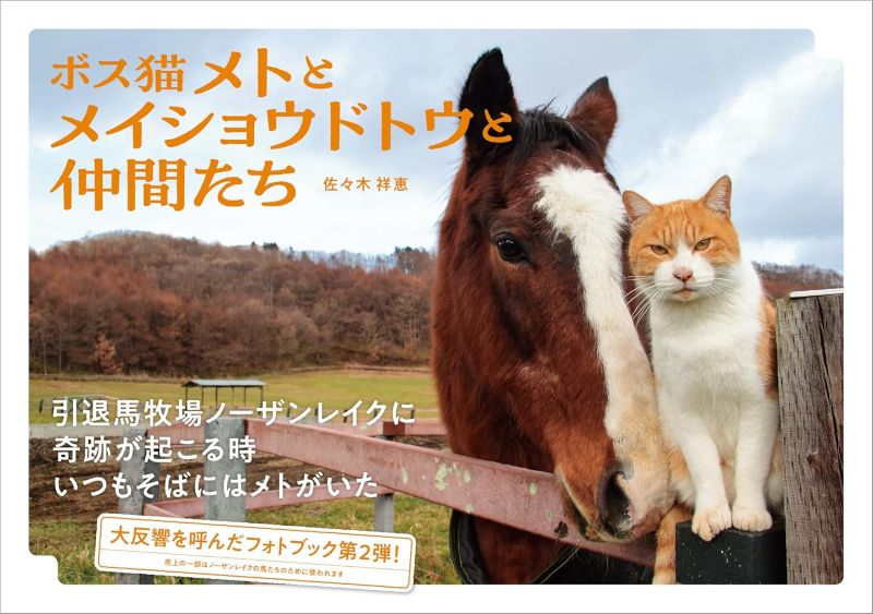 PREORDER Boss Cat Met, Meisho Doto, and Friends