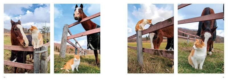 PREORDER Boss Cat Met, Meisho Doto, and Friends
