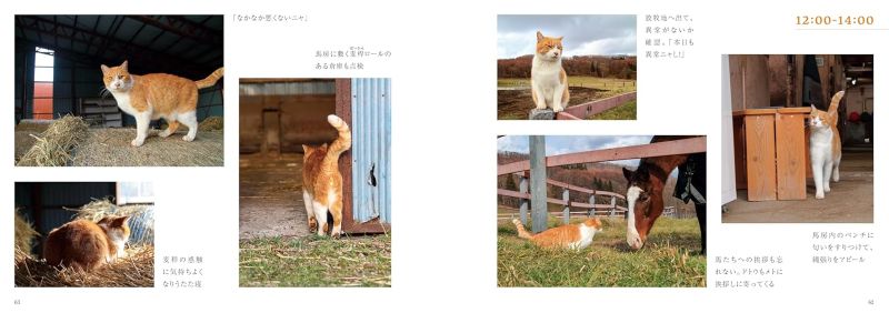 PREORDER Boss Cat Met, Meisho Doto, and Friends