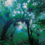 PREORDER Sanctuary – Amami Breath of Life: World Heritage Island