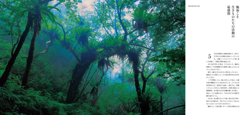 PREORDER Sanctuary – Amami Breath of Life: World Heritage Island