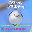 PREORDER  Rocket Shima Enaga