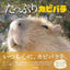 PREORDER Capybara Galore