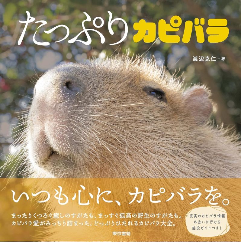 PREORDER Capybara Galore