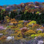 PREORDER Traveling Through Japan's Satoyama
