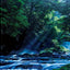 PREORDER Traveling Through Japan's Satoyama