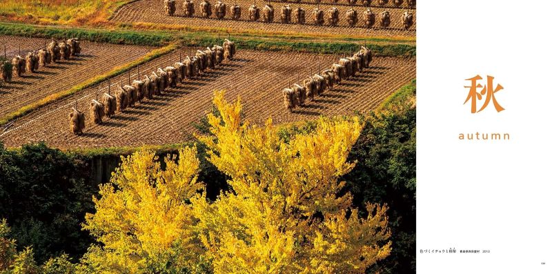 PREORDER Traveling Through Japan's Satoyama