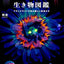 PREORDER Creatures of Light and Darkness: Beautiful Life That Glows Under Blacklight
