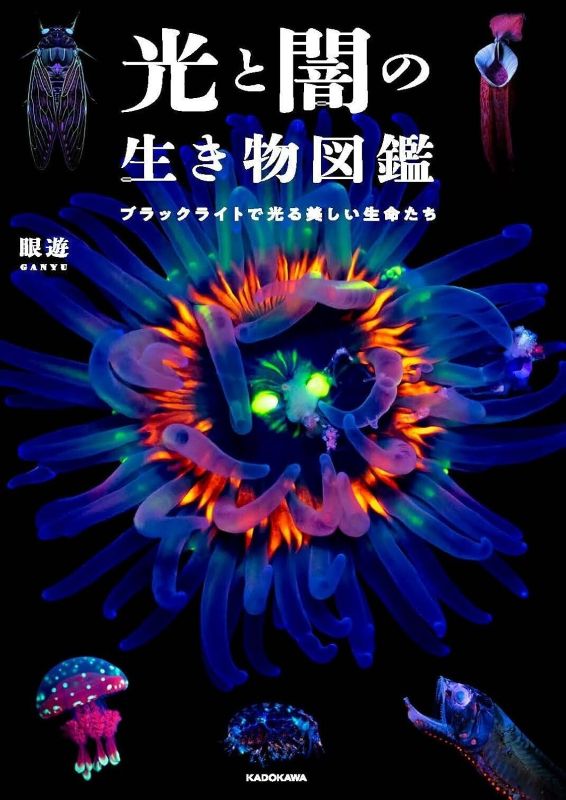 PREORDER Creatures of Light and Darkness: Beautiful Life That Glows Under Blacklight