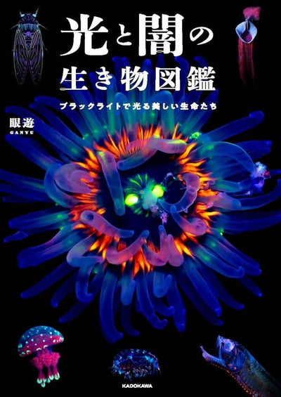 PREORDER Creatures of Light and Darkness: Beautiful Life That Glows Under Blacklight