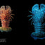 PREORDER Creatures of Light and Darkness: Beautiful Life That Glows Under Blacklight