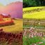 PREORDER The Colors of the Wind: Nara