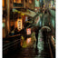PREORDER Osaka Romantics: Photographs by omi kim