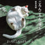 PREORDER Goron Goron Nya - Cats on their Bellies Photo Book