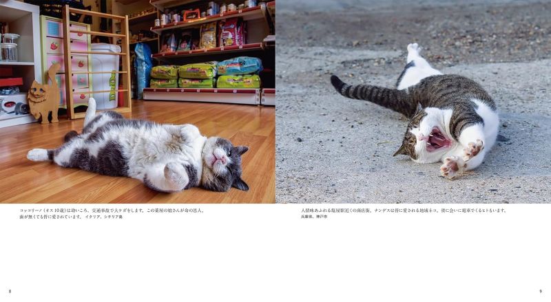 PREORDER Goron Goron Nya - Cats on their Bellies Photo Book