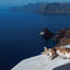 PREORDER Goron Goron Nya - Cats on their Bellies Photo Book