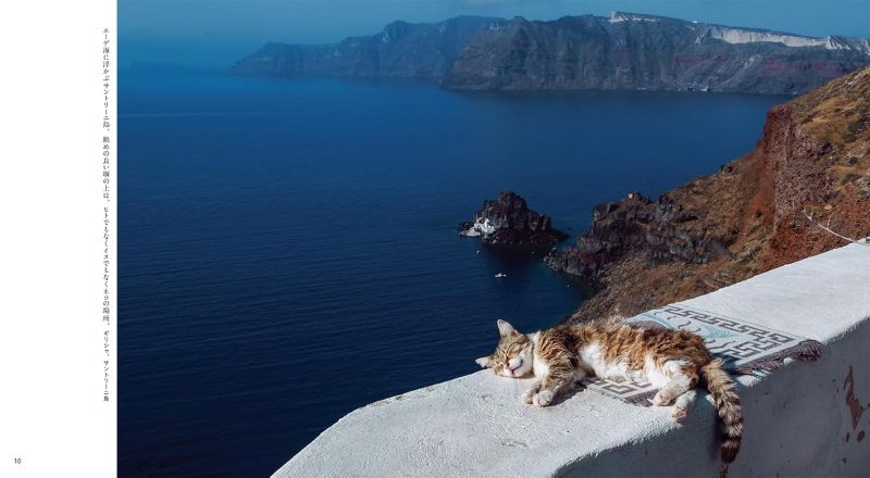 PREORDER Goron Goron Nya - Cats on their Bellies Photo Book