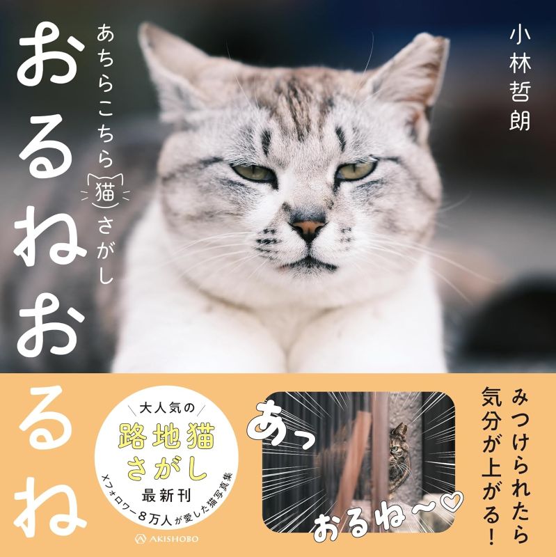 PREORDER  Here They Are! A Search for Cats Everywhere
