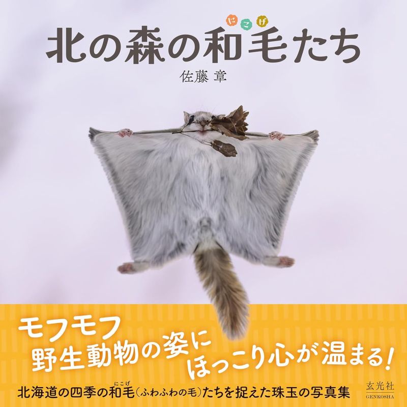 PREORDER Furry Friends of the Northern Forest