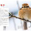 PREORDER Always, Forever: The Tanba Shimbun Bird Club Photo Book