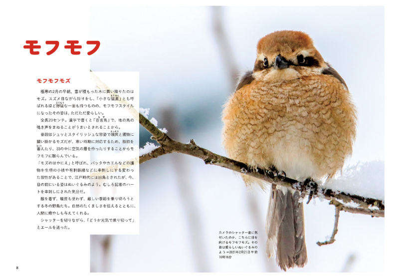 PREORDER Always, Forever: The Tanba Shimbun Bird Club Photo Book