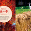PREORDER Always, Forever: The Tanba Shimbun Bird Club Photo Book