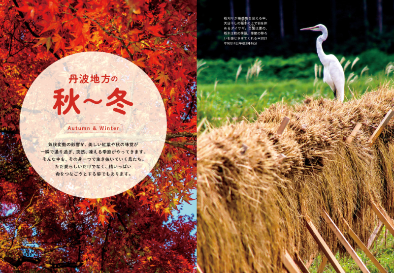 PREORDER Always, Forever: The Tanba Shimbun Bird Club Photo Book