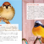 PREORDER Always, Forever: The Tanba Shimbun Bird Club Photo Book