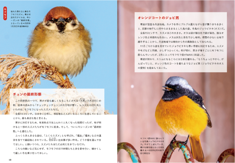 PREORDER Always, Forever: The Tanba Shimbun Bird Club Photo Book
