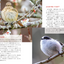 PREORDER Always, Forever: The Tanba Shimbun Bird Club Photo Book