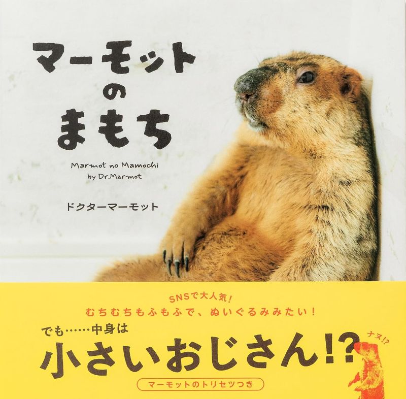 PREORDER Mamochi the Marmot